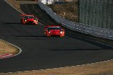 130303_Suzuka205.jpg