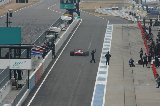 150307_Suzuka020.jpg