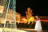 081012_MiyaWedding505.jpg