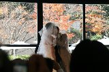 111217_KazumiWedding017.jpg