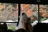 111217_KazumiWedding018.jpg