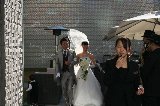 111217_KazumiWedding037.jpg