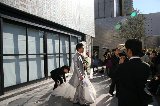 111217_KazumiWedding057.jpg