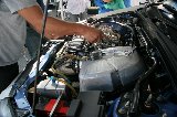 051009_Integra_Paddock_06.jpg