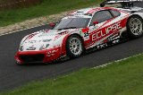 060819_SuperGT_No025_06.jpg