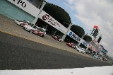 080308_Suzuka16.jpg