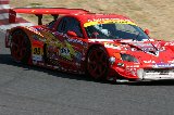 080315_SuperGT300_No095_20.jpg