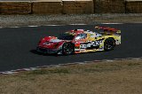 080315_SuperGT300_No666_06.jpg