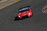 080315_SuperGT500_No023_22.jpg