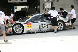 090823_Civic_Suzuka077.jpg