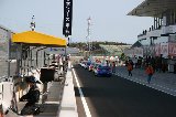 100417_Civic_Suzuka26.jpg