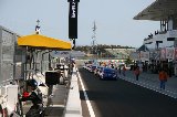 100417_Civic_Suzuka27.jpg