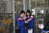 100529_SuperTaikyu_Suzuka_PitWalk_fromSato030.jpg