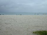 031122_Saipan24.jpg