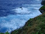 031122_Saipan44.jpg