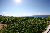 101003_Okinawa031.jpg