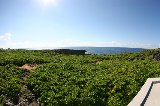 101003_Okinawa032.jpg