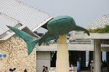 101004_Okinawa004.jpg