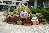 101004_Okinawa007.jpg