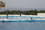 101004_Okinawa023.jpg