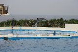 101004_Okinawa024.jpg