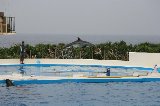 101004_Okinawa025.jpg