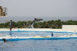 101004_Okinawa028.jpg