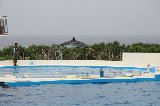 101004_Okinawa029.jpg