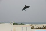 101004_Okinawa042.jpg