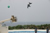 101004_Okinawa054.jpg