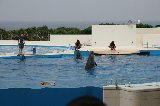 101004_Okinawa069.jpg