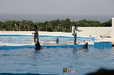 101004_Okinawa075.jpg