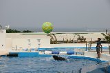 101004_Okinawa084.jpg