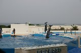 101004_Okinawa087.jpg