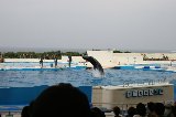 101004_Okinawa091.jpg