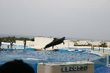 101004_Okinawa095.jpg