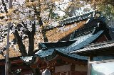 050409_Hanami080.jpg