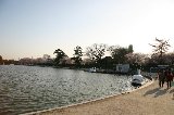 050409_Hanami108.jpg