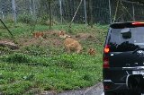 070823_SafariPark_03.jpg