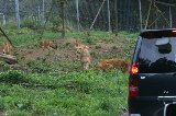 070823_SafariPark_04.jpg