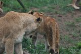 070823_SafariPark_07.jpg