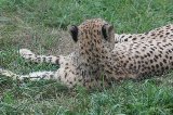 070823_SafariPark_15.jpg