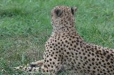 070823_SafariPark_17.jpg