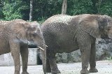 070823_SafariPark_19.jpg