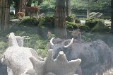 070823_SafariPark_28.jpg