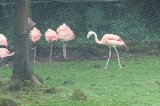 070823_SafariPark_32.jpg