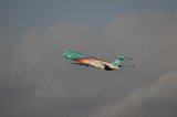 050213_NagoyaAirPort078.jpg