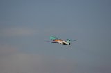 050213_NagoyaAirPort080.jpg