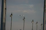 050213_NagoyaAirPort109.jpg