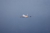 050213_NagoyaAirPort210.jpg